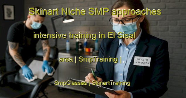 Skinart Niche SMP approaches intensive training in El Sisal area | SmpTraining | SmpClasses | SkinartTraining-Mexico